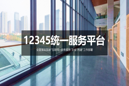 12345統(tǒng)一服務(wù)平臺(tái)